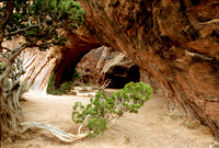 4223  Navajo Canyon