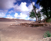 4287 Sand Dune of Colorado