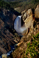 4230 Lower Falls of Yellowstone