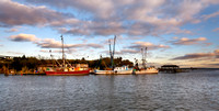 1498-M  Shem Creek Shrimp Boats
