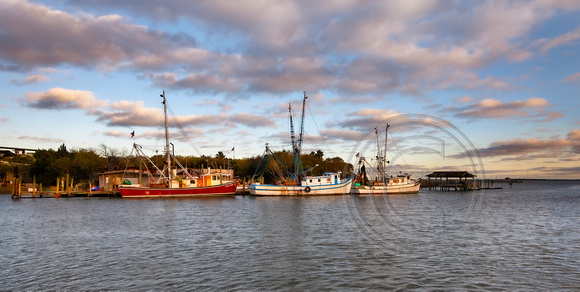 1498-M  Shem Creek Shrimp Boats